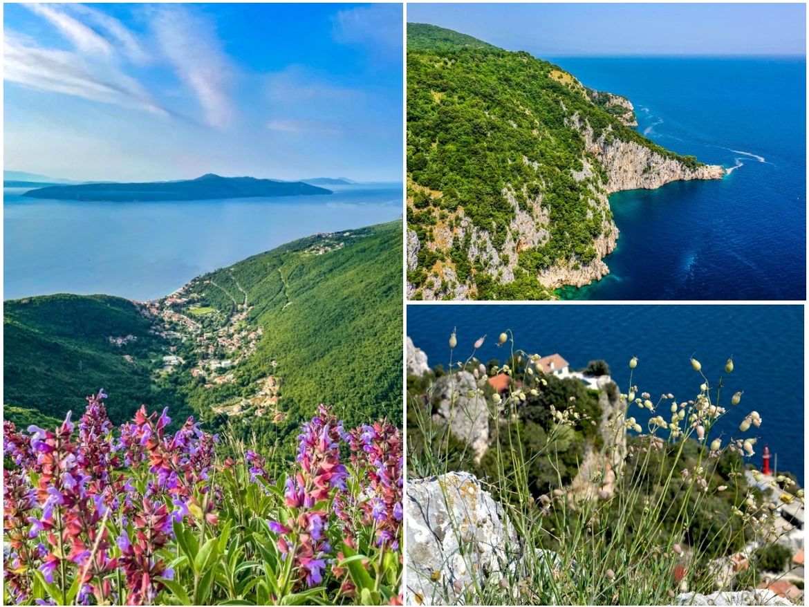 Zeleno Lice Mošćeničke Drage - Brojne Aktivnosti U Prirodi I ...